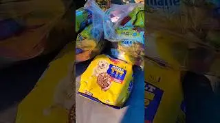 Thanks to Everyone 🙏❤️&zwj;🩹 Help stray dogs 🐶 #adoptdontshop #assameseyoutuber #viral  