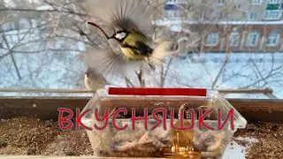 Вкусняшки  😂           #slowmo, #slowmotion   