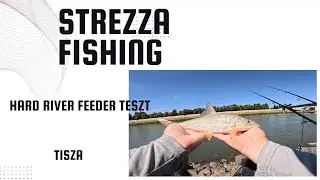 Feeder Minuter on river Tisza ep 6. - New River Feeder test - barbel party | Strezza Fishing