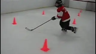 PHD Hockey Training Center with Strong Dynamics Hockey