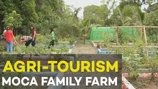 Agri tourism: MoCa Family Farm, Agribusiness Ideas in the Philippines