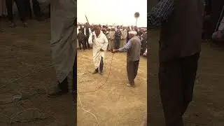 Ghaita gallal et danse rai Cheikh el wanar #gasba #algerianmusic #dance #rai #shorts