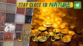 Treasure Hunt for Health: Discover the Hidden Healing Power of Spices!