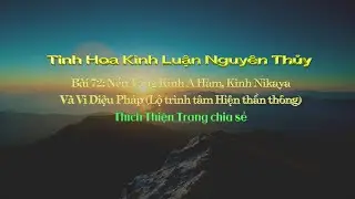 072-Tinh Hoa Kinh Luận Nguy&ecirc;n Thủy || Th&iacute;ch Thiện Trang