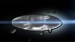 FishNFX logo