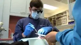 Alaska's dental therapists are bringing back smiles
