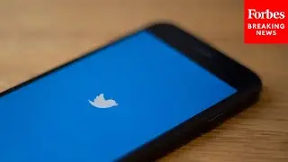 Twitter Safety Head Admits &lsquo;Surge In Hateful Conduct&rsquo; As Firm Reportedly Limits Access To Tools