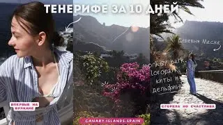 Тенерифе за 10 дней | Лоро парк, monkey park, вулкан и самые красивые виды 🔆✨