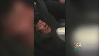 Backlash Against United Airlines Grows After Man Dragged Off Plane
