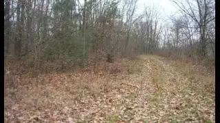 18 KANKAKEE South Bend, IN Homes for Sale | cressyeverett.com