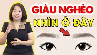 Nhìn tướng biết tâm, cách nhìn người qua tướng mạo | PHONG THỦY SONG HÀ OFFICIAL