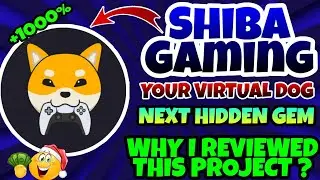 Gaming Shiba Review! Gaming Shiba Somthing Different Next 1000X Token! Why this project is Important