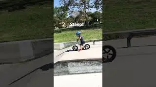 2-year-old | Strider balance bike | Skatepark #shorts #short #strider #kids