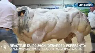 REACTEUR du Pouhon 11/2025