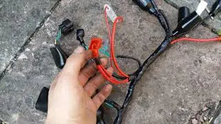 Pulse adrenaline wiring
