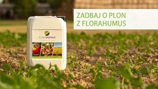 Jak zadbać o glebę? Wypowiedzi ekspert&oacute;w