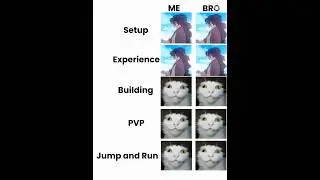 My and Bros Minecraft Stats