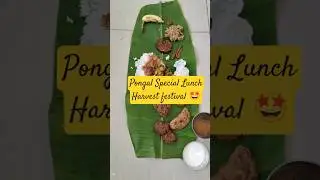 PONGAL SPECIAL LUNCH🍱#trendingshorts#lunchplate#harvestfestival#pongal#happymakarsankranti