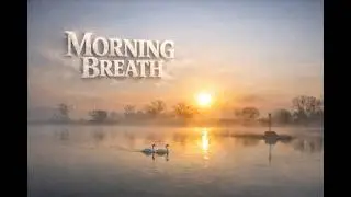 Schnelldorf, Bavaria &mdash; Dawn on the Danube: Fog Dance & Golden Sunrise | DJI Mini 4 Pro