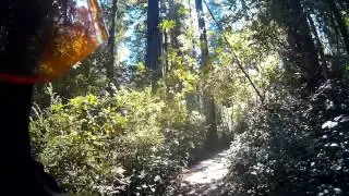 Lady Bird Johnson Grove