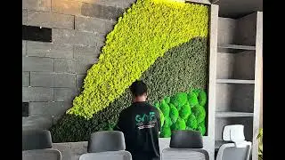 Mix Moss Wall Project at Business Bay