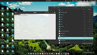 Linux directory error - Home mirroring on the desktop