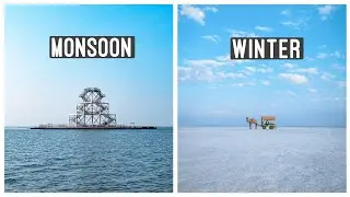 THE WHITE RANN - From Water To Salt Desert