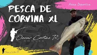 Pesca en Antofagasta-54, pesca en correntones, corvina de 15 kg...