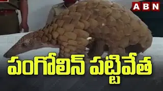Odisha Police Caught Pangolin Smuggling Gang | ABN Telugu