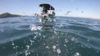 pesca sub chiriqui un buen pargo