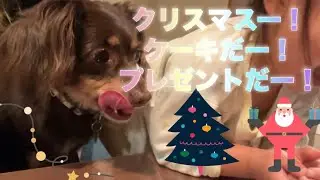 少し早いけど先週クリスマスやったよ。プレゼントにケーキでニコニコ
