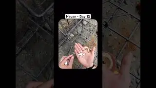 Day 13: Building House From Scratch #trending #challenge