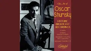 Violin Concerto in D Major, Op. 61: I. Allegro ma non troppo