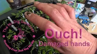 Gardening with chronic illnesses #gardeninguk #gardeningwithchronicillness #gardeningismytherapy