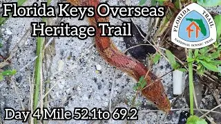 Day 4 Florida Trail Thru Hike From Key West | Keys Overseas Heritage Trail | Layton, FL | Long Key