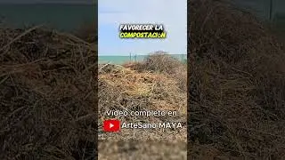 Compost de 1&ordf; calidad