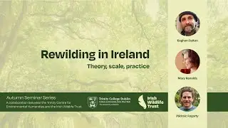 Rewilding in Ireland | Theory, Scale, Practice