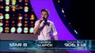 Dalibor Slepč&iacute;k P&aacute;r př&aacute;tel stač&iacute; m&iacute;t SuperStar 2015