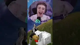 Is that chicken ok?