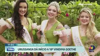 Vales da Uva Goethe garantem denominação de origem em SC