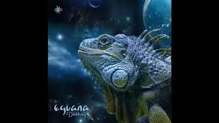 Eguana - Destiny, Vol. 2 - 06 Andromeda ✨ Psychill / Psybient