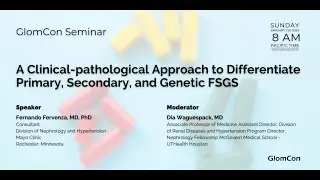 A Clinical-pathological Approach to Differentiate Primary, Secondary, and Genetic FSGS