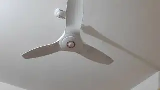 Walton Gloria Celling Fan | Walton