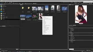 Ma&icirc;triser Bridge CC 2017 (EXTRAIT)