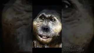 The first species of human was extremely creepy&hellip; #prehistoric #homohabilis #earlyhumans #uncanny
