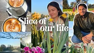 Commonwealth Park | Canberra | vlog, evening walk, random talks