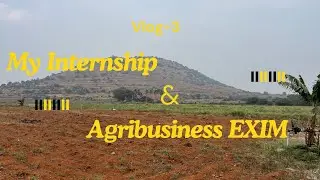 Internship Vlog 3 | EXIM Work Process