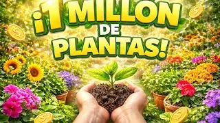 Vamos por el millón 💪🏻