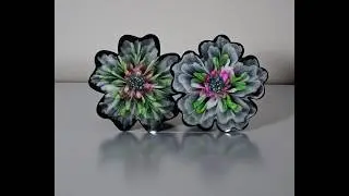 Can't decide which 3D Bloom I prefer!!