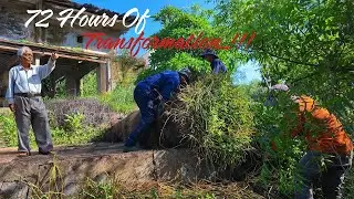 72 Hours of Transformation: 🏚️ Abandoned House Cleanup & Overgrown Jungle Clearing | Clean Up